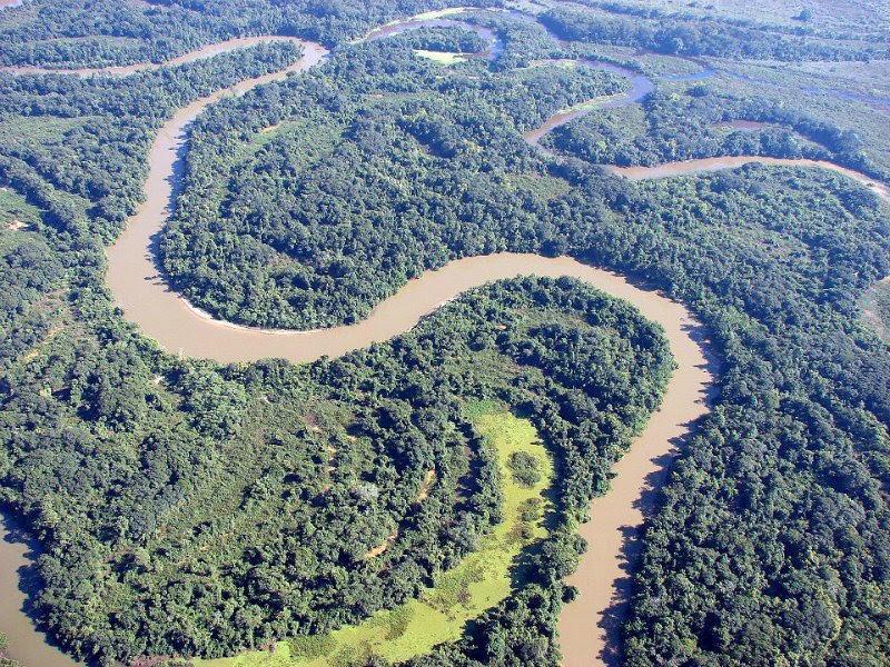 pantanal-paulista.jpg